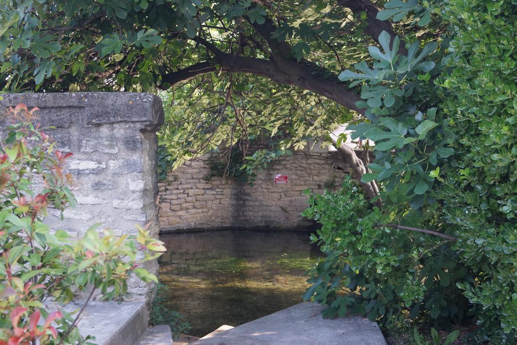 Ferienwohnung Colombe LʼIsle-sur-la-Sorgue Exterior foto